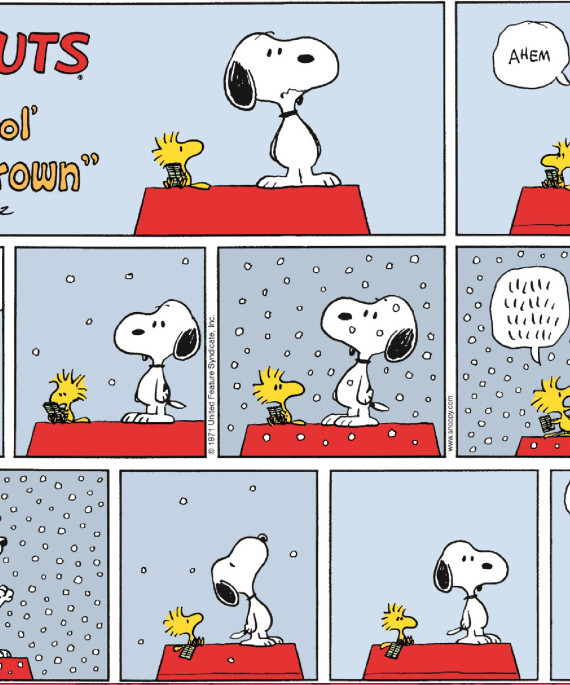 Peanuts comic strip featuring Snoopy and Woodstock