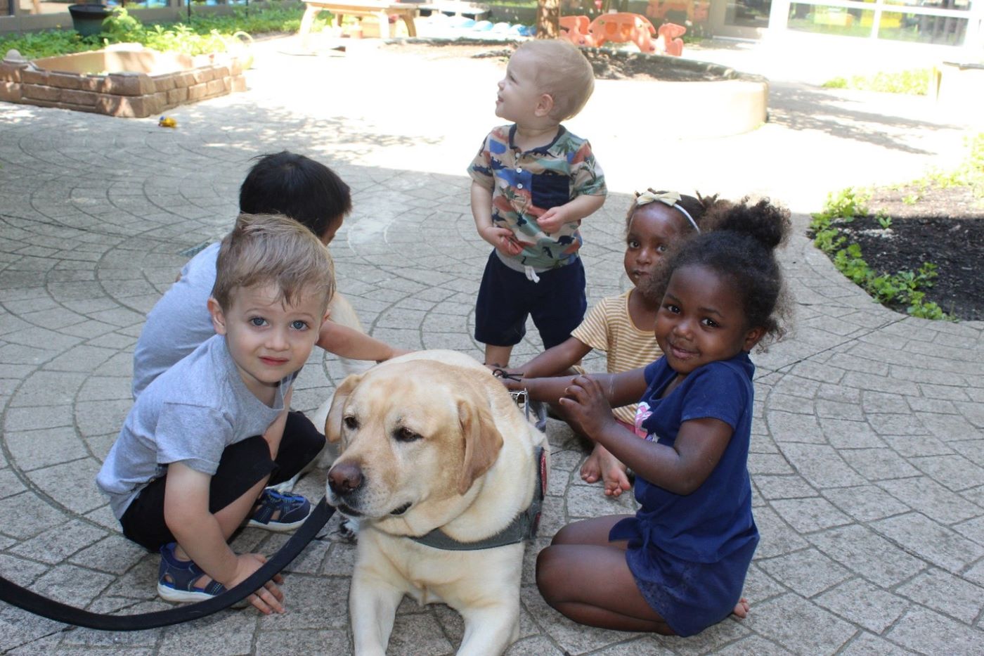 Dog being pet by young students during a Buckeye Paws event