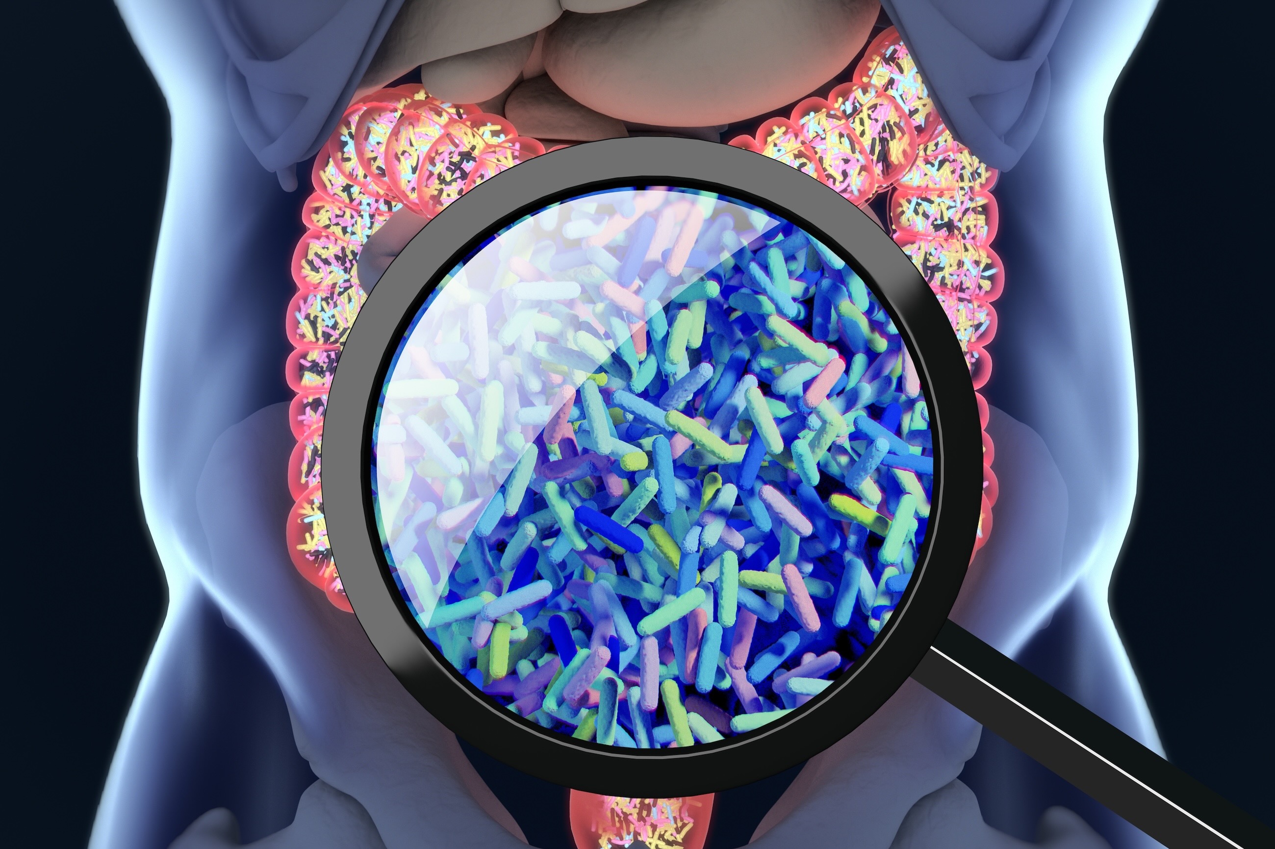 Scientific illustration of gut bacteria