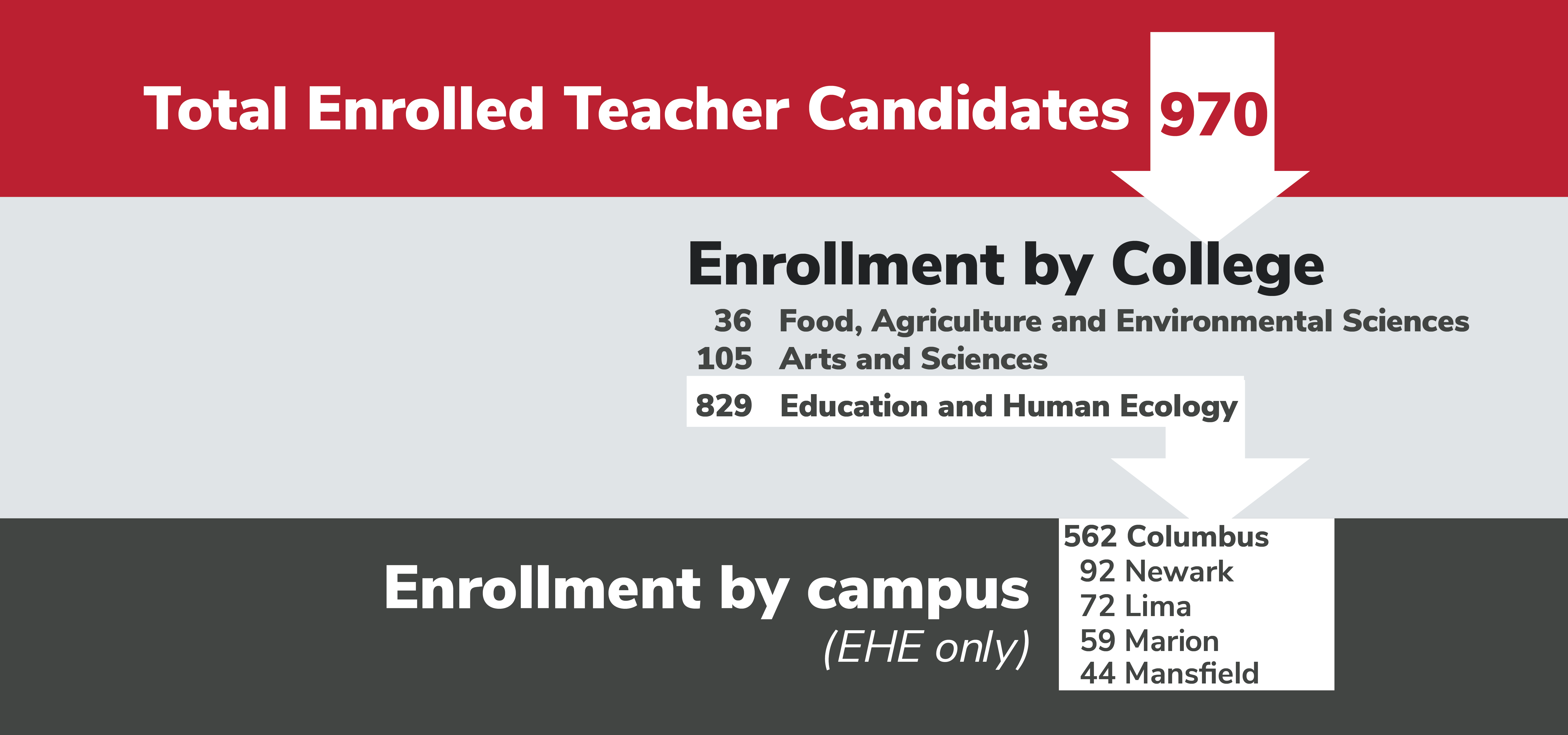 970 total enrolled teacher candidates broken down by colleges; 36 Food agriculture and environmental sciences, 105 Arts and Sciences, 829 Education and Human Ecology. Of the 829, the graphic breaks down enrollment by campus; 92 Newark, 72 Lima, 562 Columbus, 44 Mansfield and 59 for Marion