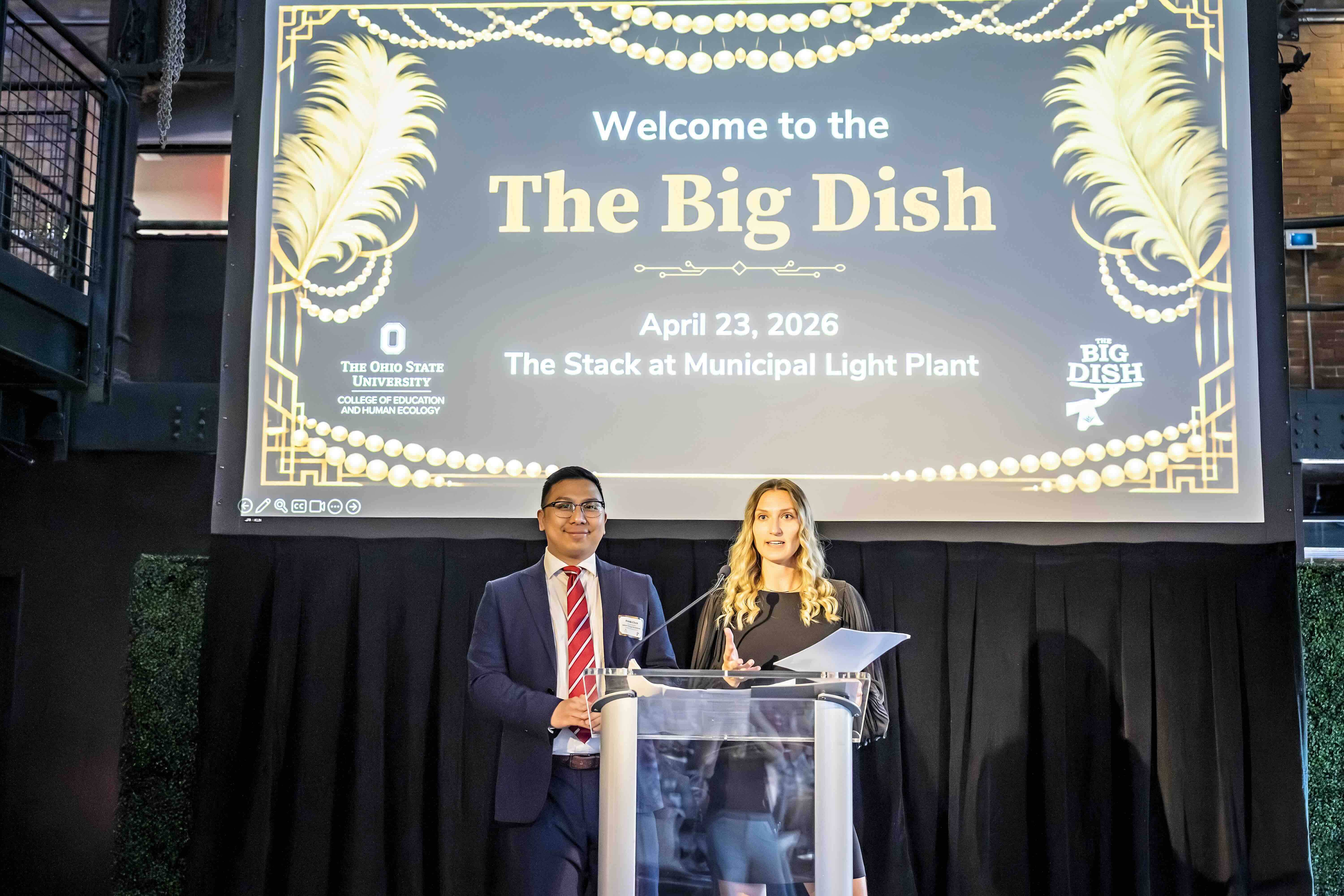 Big Dish 2026 decorative