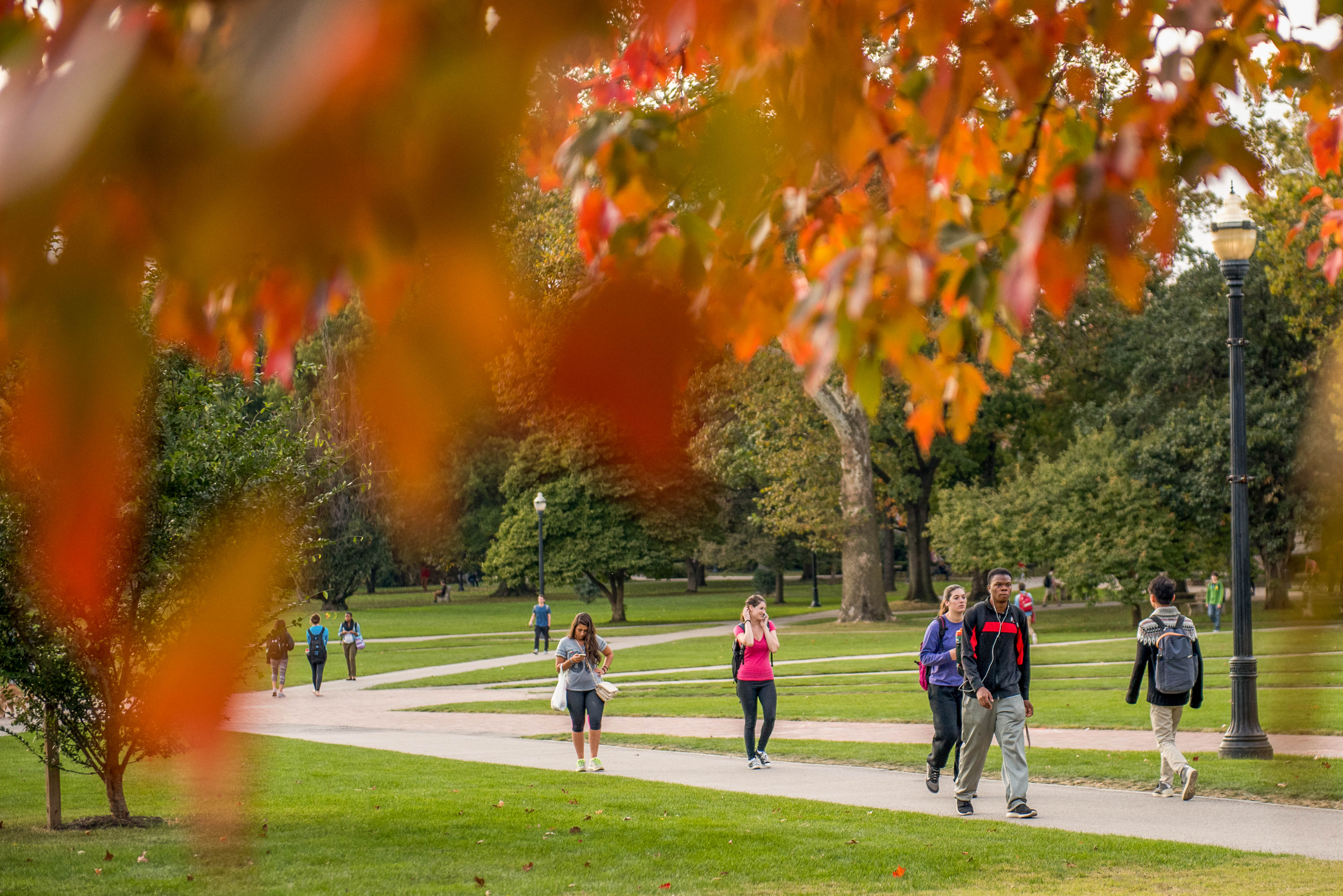 Autumn Campus Scenes Oval