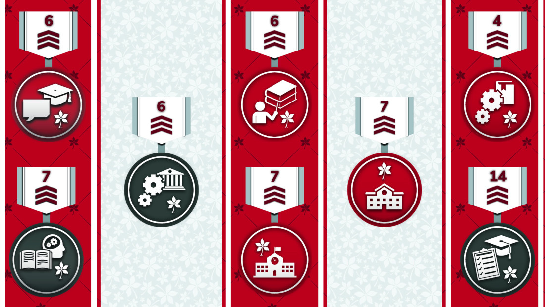 Decorative ranking badges