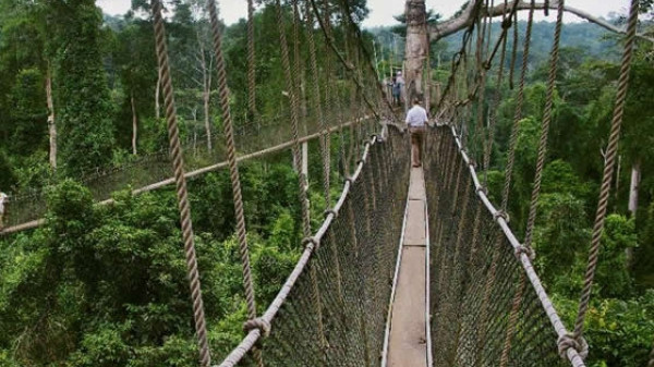 Bridge in Kakum National Park