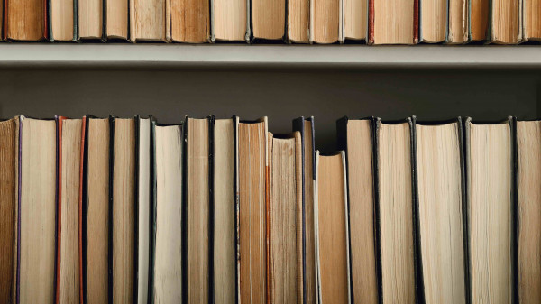 shelves of books with pages facing out