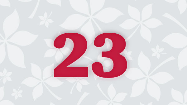 23