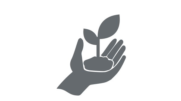 icon of a hand holding a sprouting plant