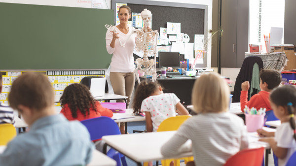 teacher explaining to school kids human body