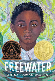 Freewater novel cover