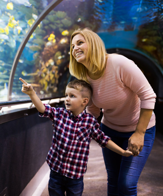 mother-and-her-child-watching-sea-life