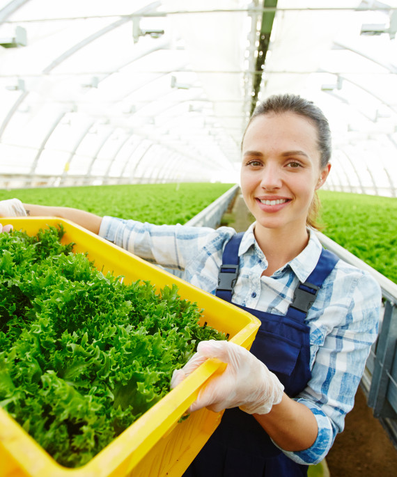 organic-food-for-sale