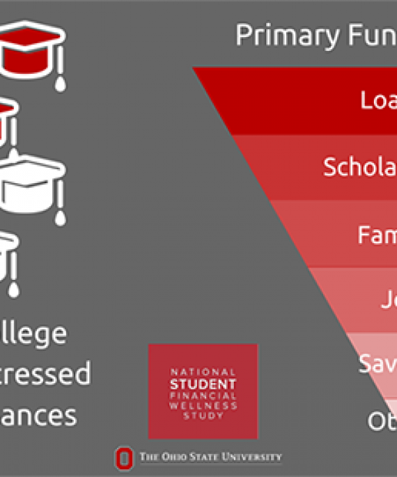 financial wellness pyramid