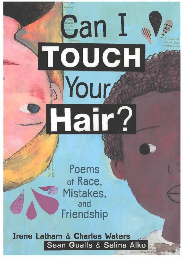 Can I Touch Your Hair book jacket