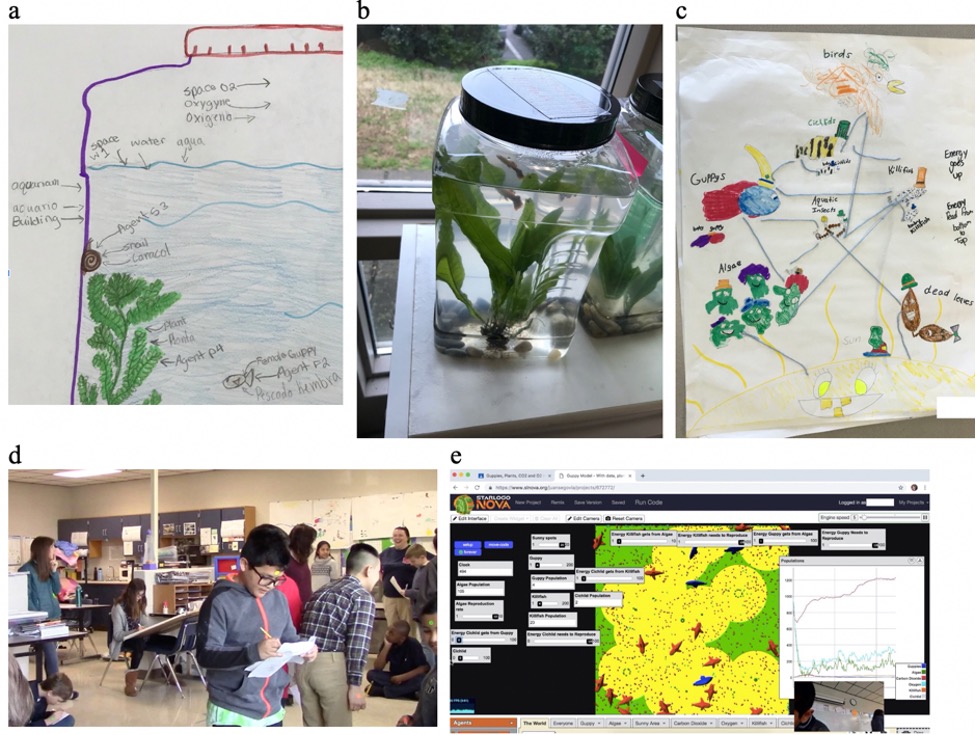 collage of images including, scientific drawings, jars with plants, students in class, and graphs on computer screens
